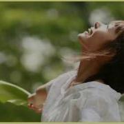 박혜경 레몬트리