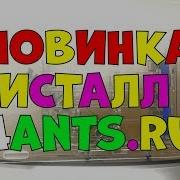 Муравьиная Ферма