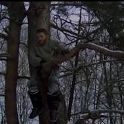 Весьегонская Волчица
