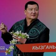 Кызганыч