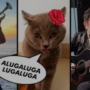 Please Go Away Feat Alugalug Cat 2 0 The Kiffness