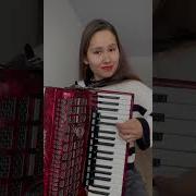 Аккордеон Современна Музыка