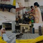 Pind