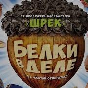 Белки В Деле