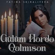 Fatima Shiraliyeva Gulum Harda Qalmisan 2024 Yeni Klip 4K