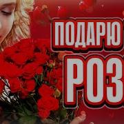 Анатолий Чалый Подарю Тебе Розы