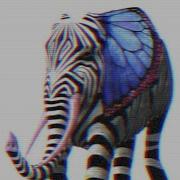 Indian Vibes Gian Nobilee