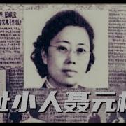 盐碱地反贼 文革 15