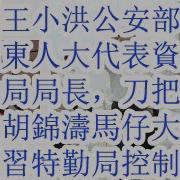 免去王小洪公安部长 何卫东人大代表资格
