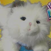 Little Live My Dream Kitten Cuddles How To Video