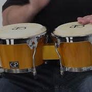 Bongo Instrument