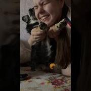 Ну И Что Что Тебя Никто Не Любит Насри На Них