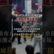 河北唐山打人涉事人