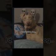Скинволкер Бжквуд