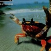 The Prodigy Climbatize