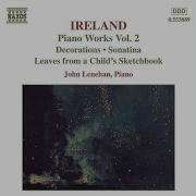 Ireland Leaves From A Child S Sketchbook The Hunt S Up