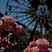 Супер Красивые Английские Песни Про Любовь Онлайн