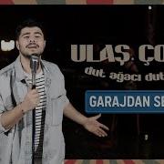 Dut Ağacı Dut Verir