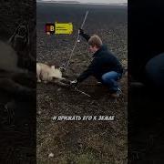 Попал В Капка