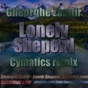 Gheorghe Zamfir Cymatics Remix