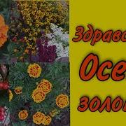 Золотая Осень Д Князев Минус