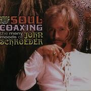 John Schroeder Coloured Rain