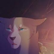 Rise Коты Воители