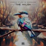 Cosmic Flow Nomolos The Walsh