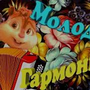 Бурундуки Из Шансона