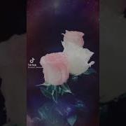 Цыганские Песни 2022