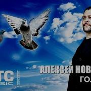 Алексей Новиков Голуби