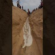 Bobes River Runs Red
