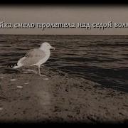 Ну Ка Чайка Отвечайка