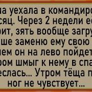 Как Тёща Подменила Зятю Жену Сборник Свежих Анекдотов Юмор