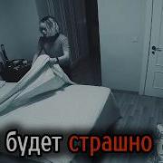 Коты Ютуберы