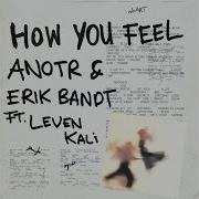 How You Feel Original Mix Anotr