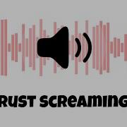 Rust Wounded Sound Bait
