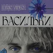 Васильки Ваня Дмитриенко Минус