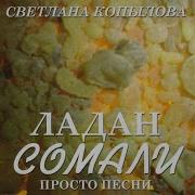 Светлана Копылова Богадельня