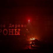 Красное Дерево Дроны