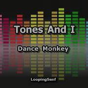 Tones And I Dance Monkey Karaoke Loopingsenf