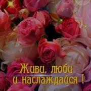 Твоя Улыбка Ты Прекрасно