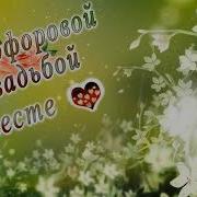 20 Лет Вместе Поздравления