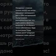 Цитата Живите Сейчас