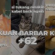 Verliyaling 8 Menit