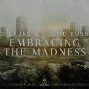Embracing The Madness D Sturb Sound Rush