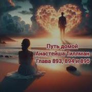 Путь Домой Анастейша Глава893