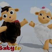 Baby Tv Cha Cha Cha Dancing Sheep