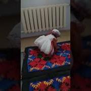 Съездбек Искеналиев Элзар Осконбаева Кантын Бар Жаны 2019