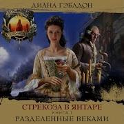 Стрекоза В Янтаре